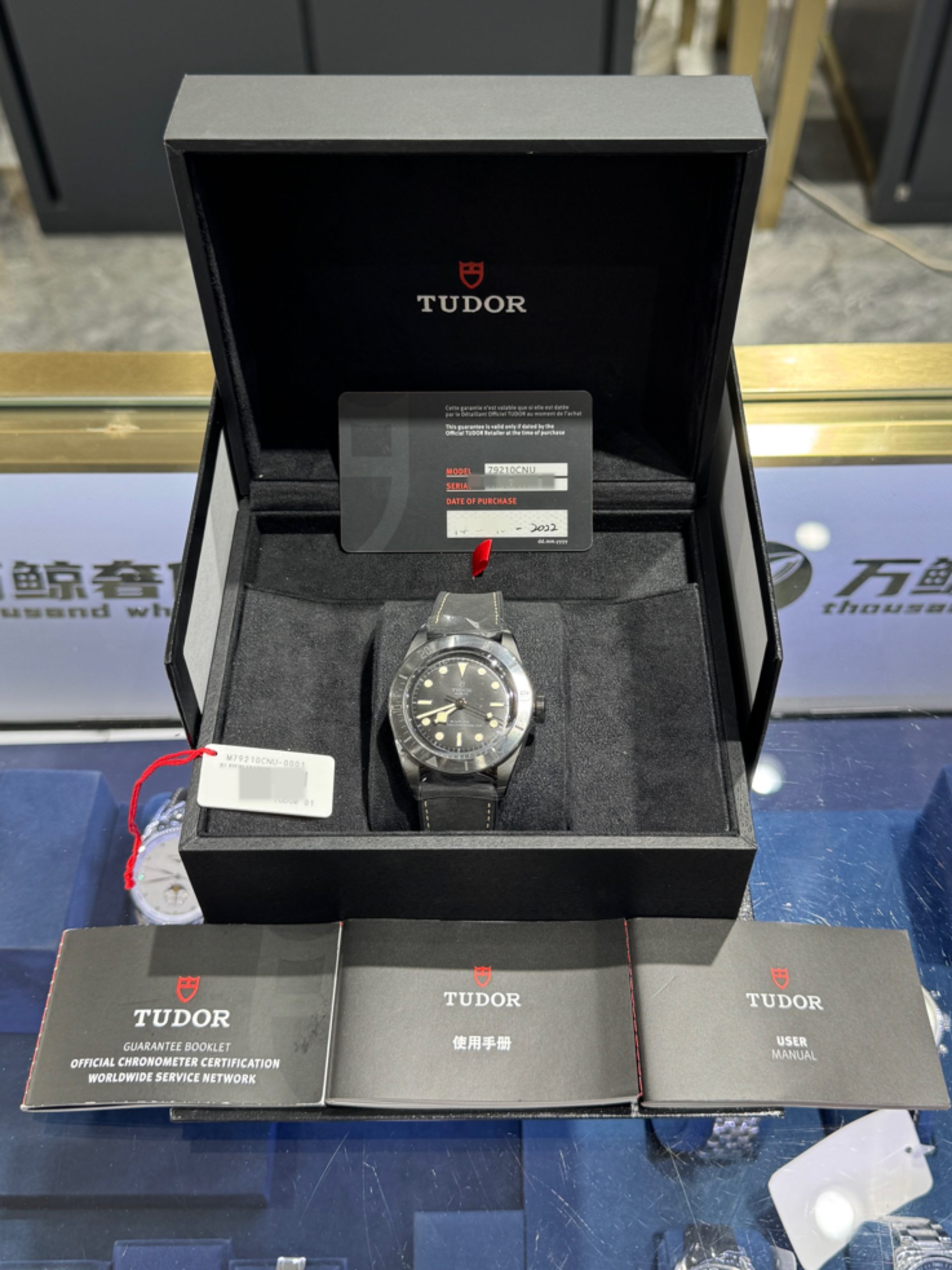 Tudor Black Bay M79210CNU-0001