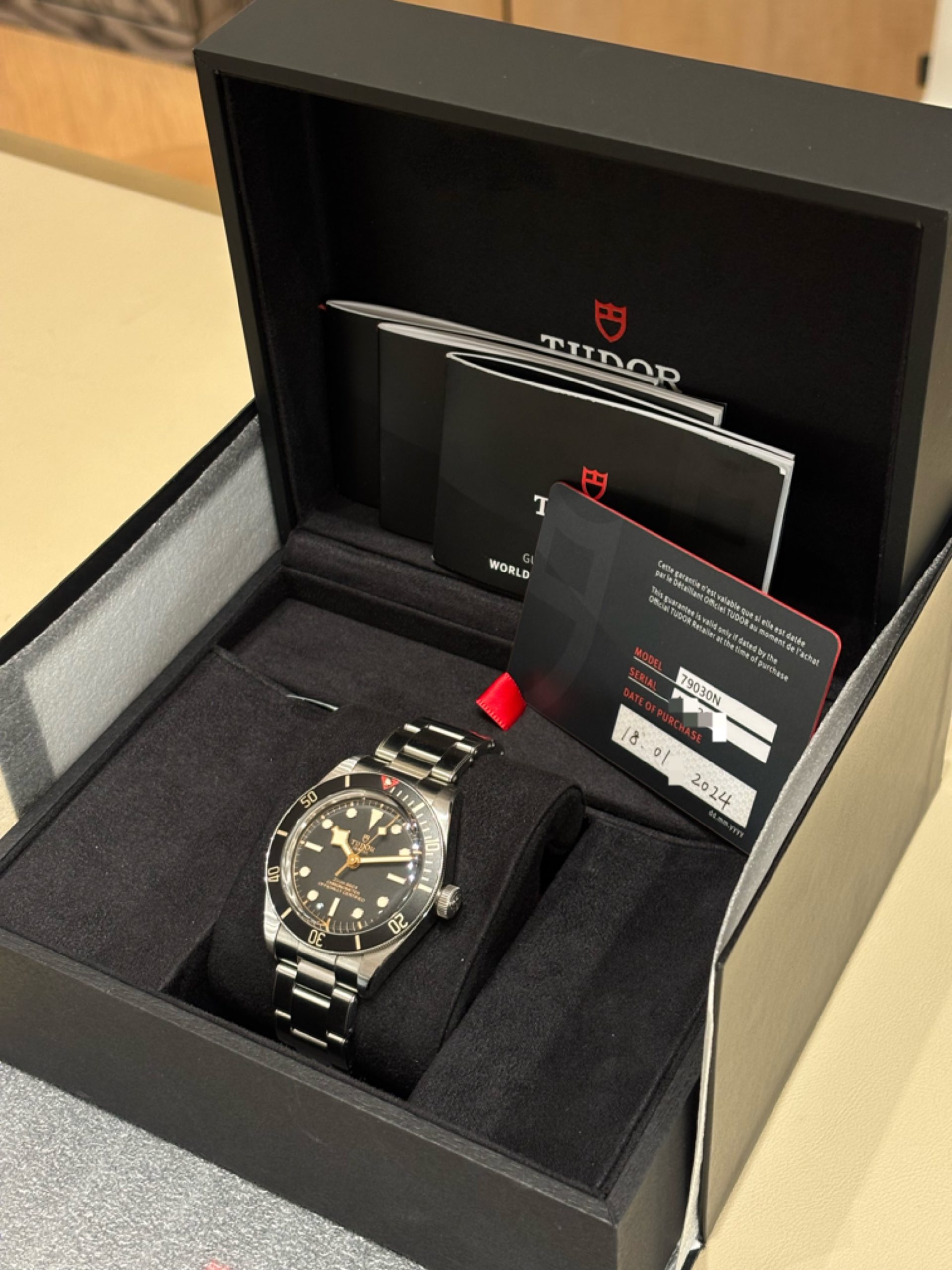 Tudor Black Bay M79030N-0001