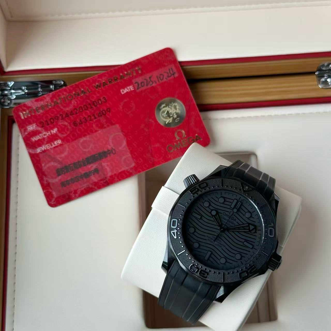 Omega Seamaster 210.92.44.20.01.003 - Image 4