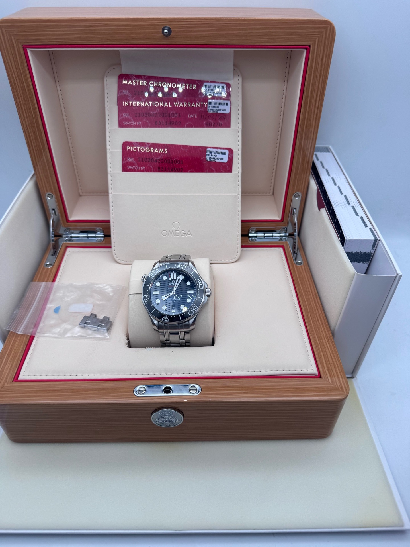Omega Seamaster 210.30.42.20.01.001.