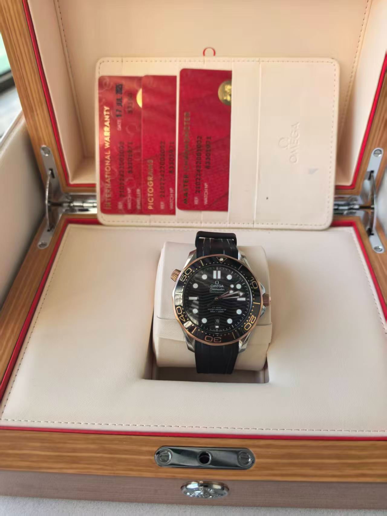 Omega Seamaster 210.22.42.20.01.002