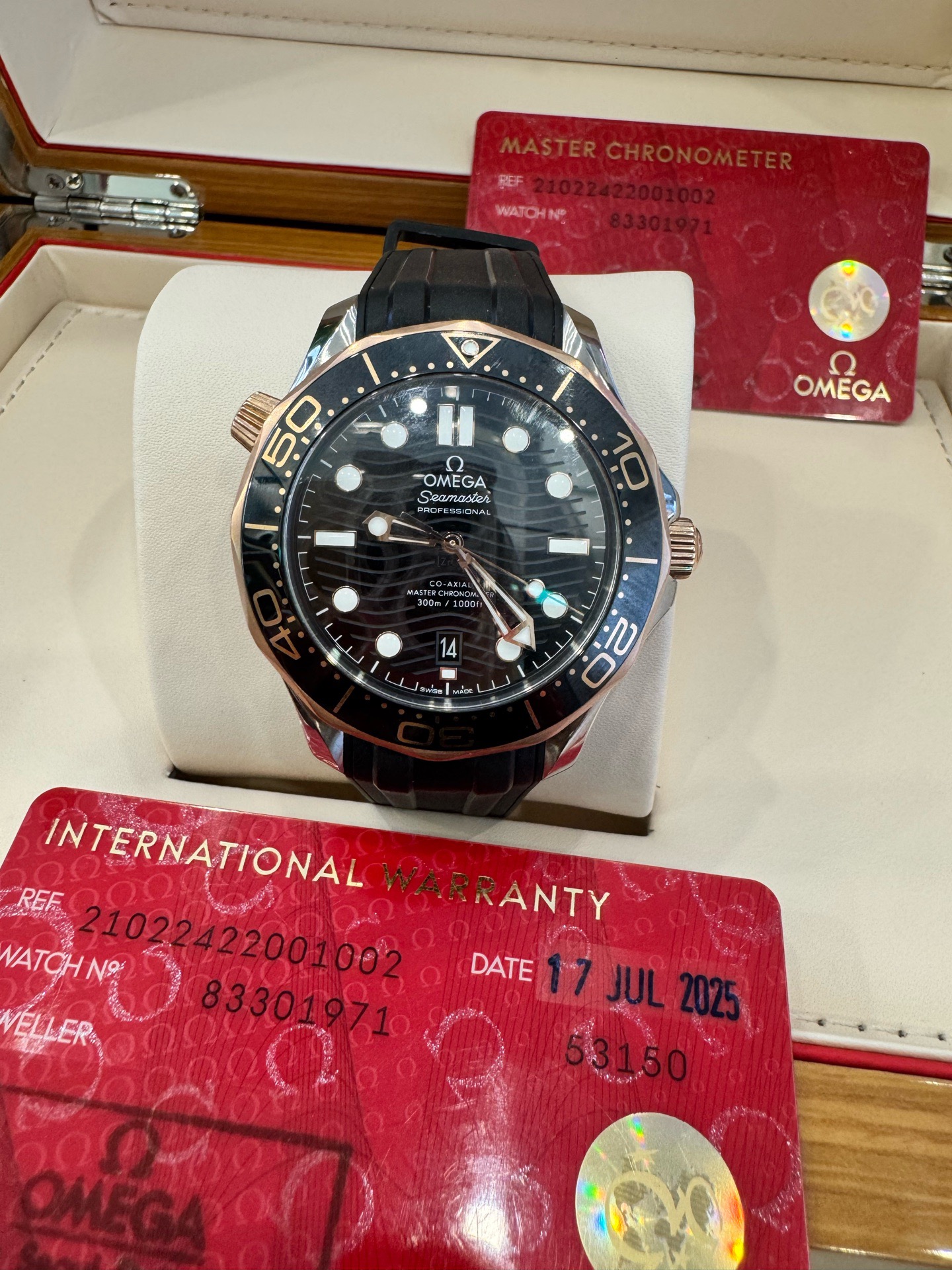 Omega Seamaster 210.22.42.20.01.002 - Image 5
