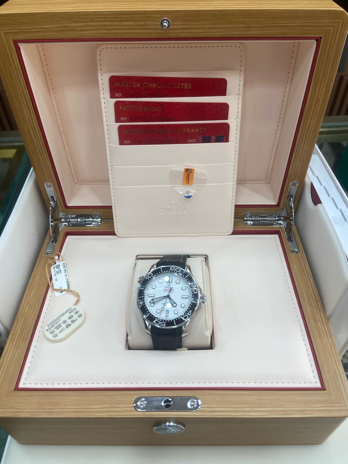 Omega Seamaster 210.32.42.20.04.001