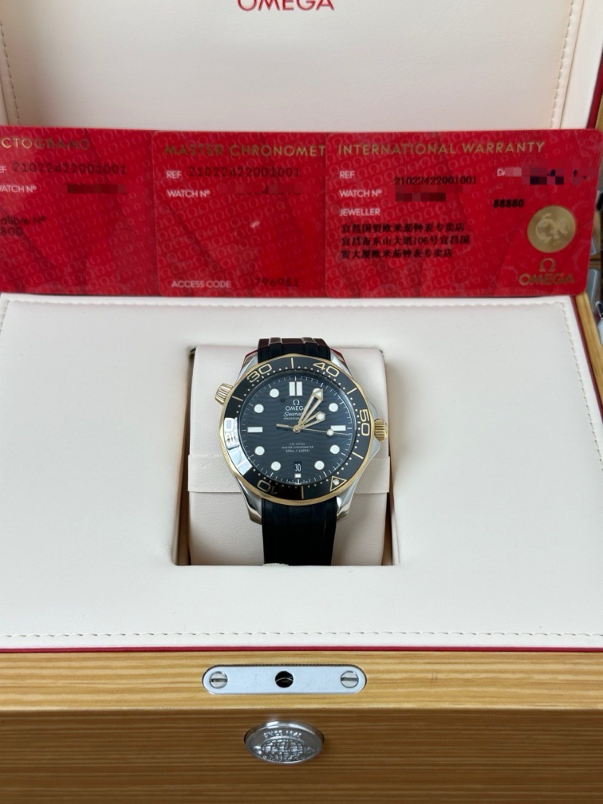 Omega Seamaster 210.22.42.20.01.001