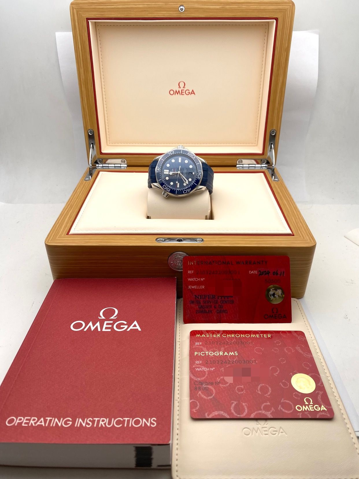Omega Seamaster 210.32.42.20.03.001