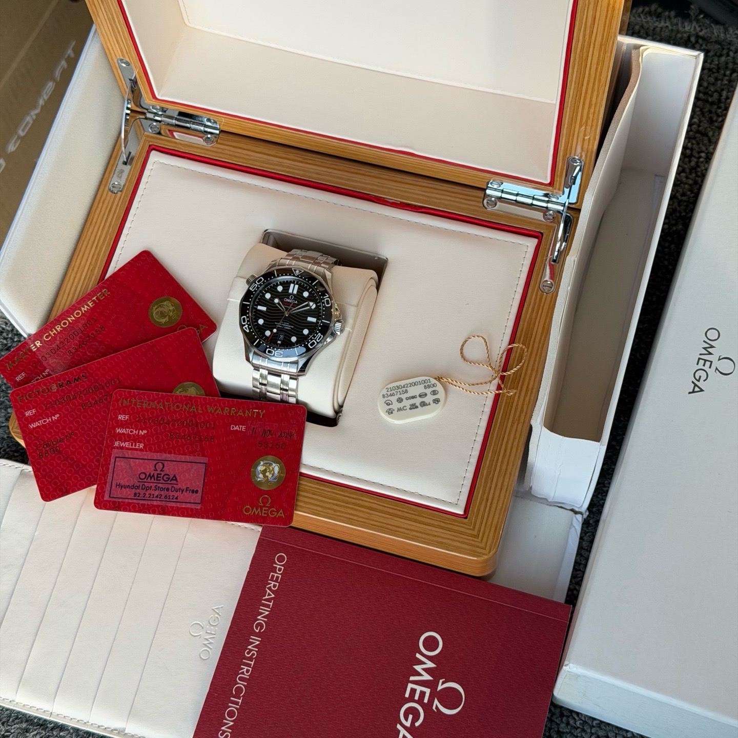 Omega Seamaster 210.30.42.20.01.001