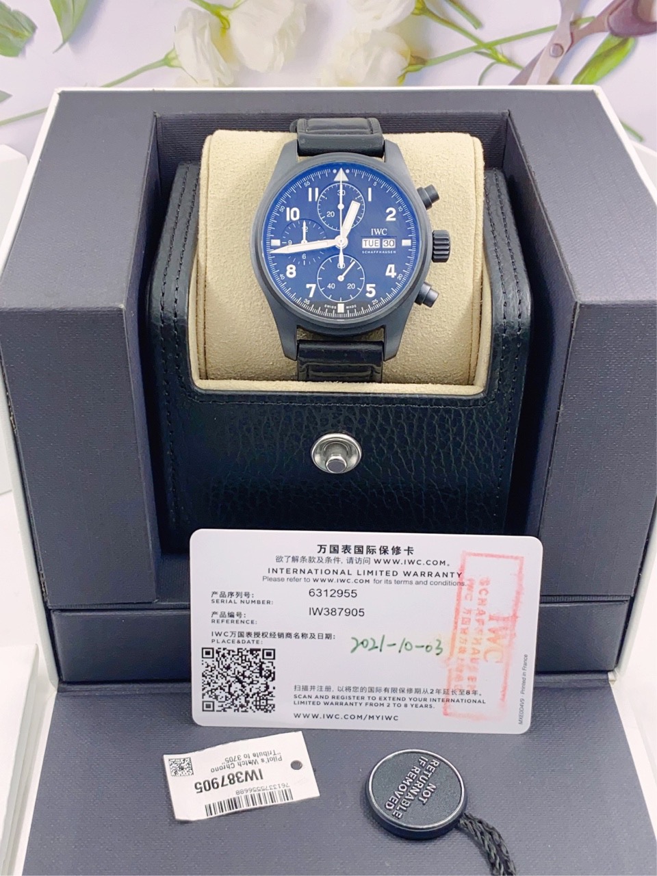IWC Pilot's Watch IW387905