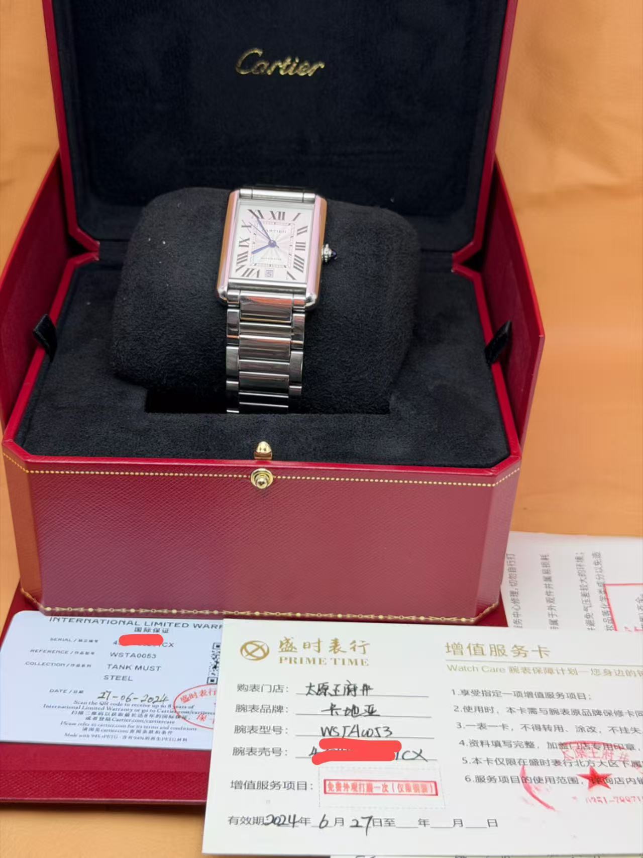 Cartier WSTA0053
