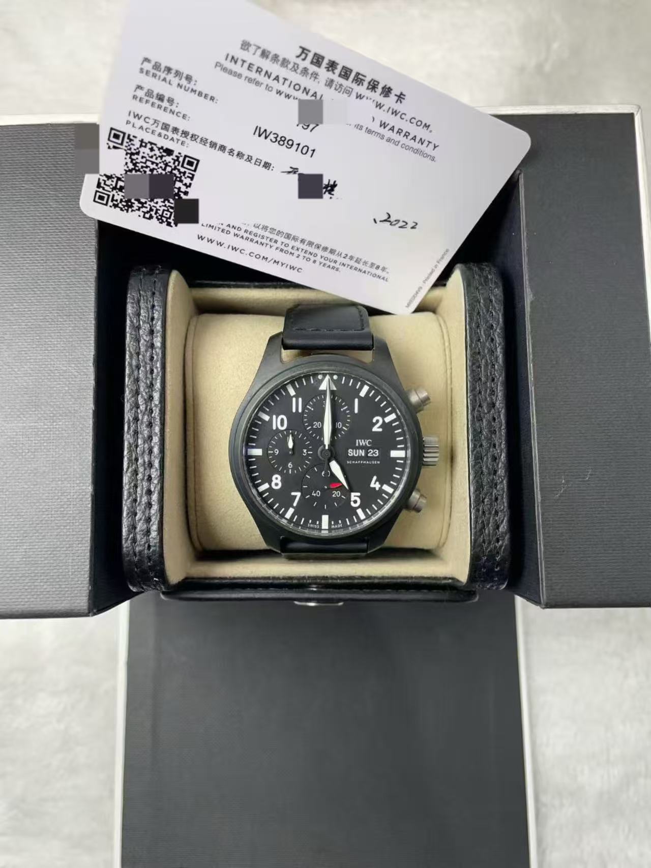 IWC IW389101