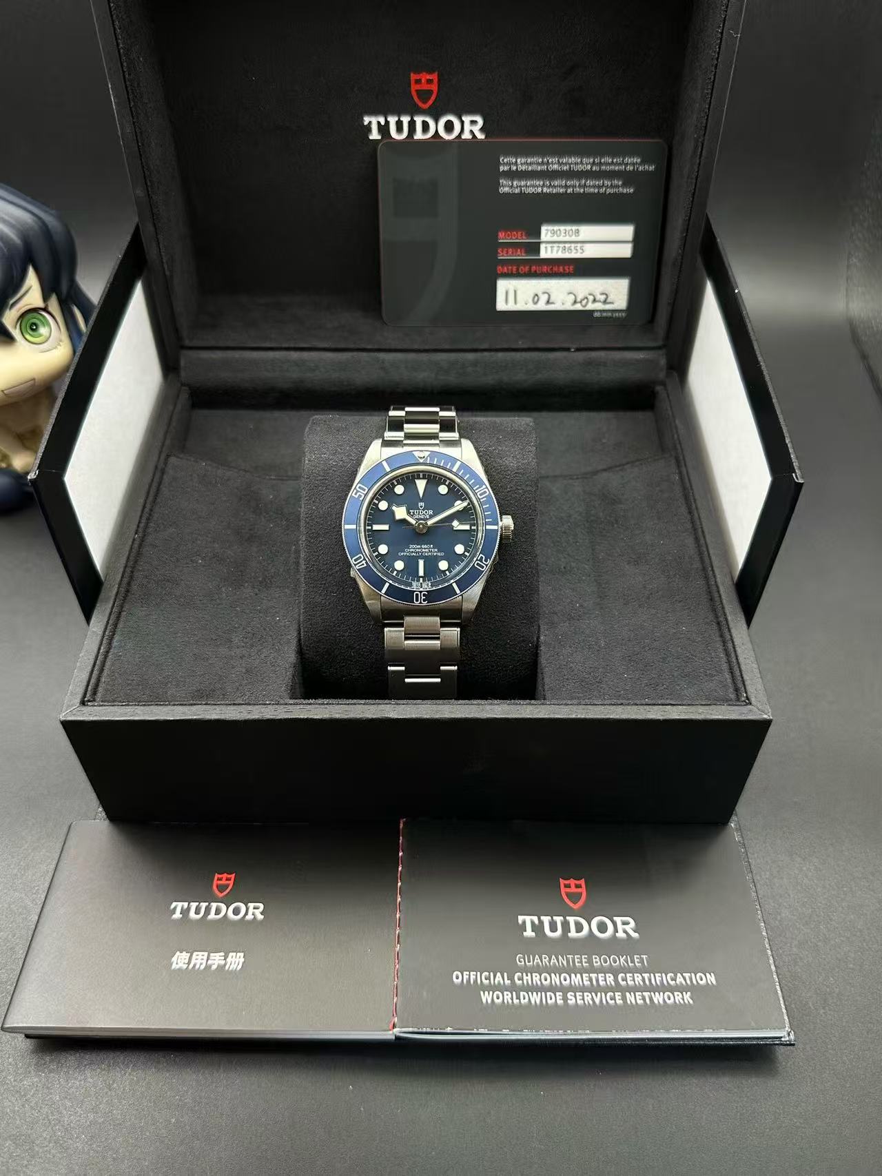Tudor M79030B-0001