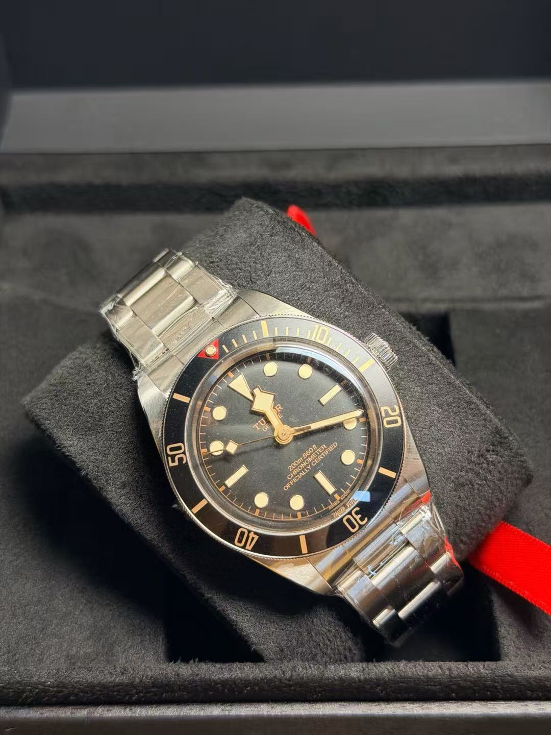 Tudor m79030n-0001 - Image 2
